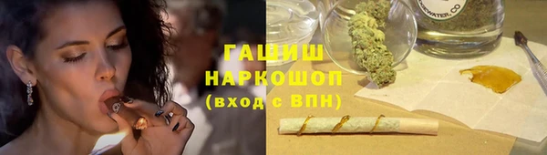 стаф Бородино