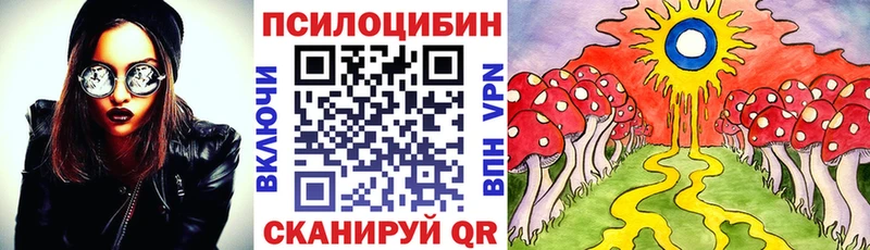 как найти наркотики  Феодосия  Галлюциногенные грибы Psilocybe 